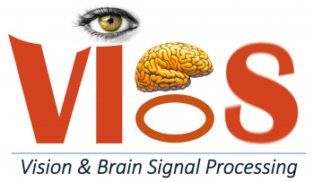 Vision & Brain Signal Processing