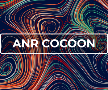 Projet ANR COCOON 2