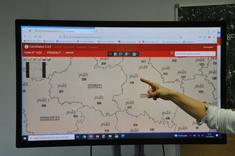 Copie d'écran de CartoDialect