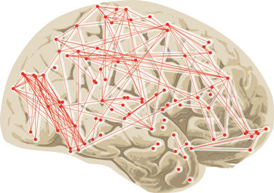 Graphes de connexions cérébrales