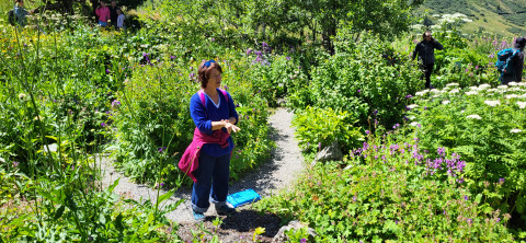 CHAUVIN_JardinLautaret_juillet 2025