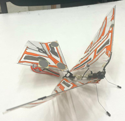 Drone à ailes battantes