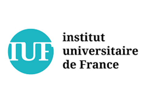 Logo IUF