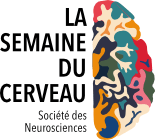 logo - la semaine du cerveau