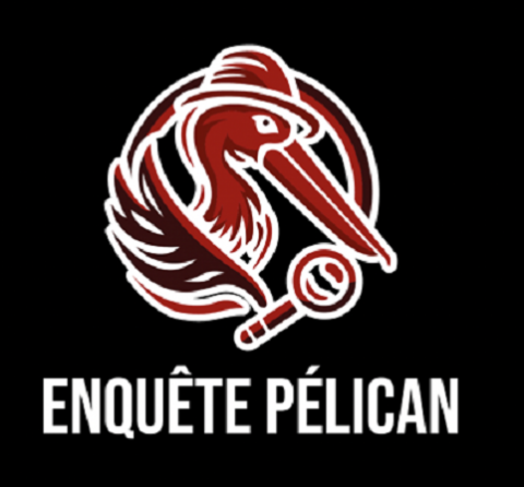 Retour sur l'enquête Pelican