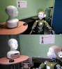 les robots Furhat et Nina (iCub modifié)