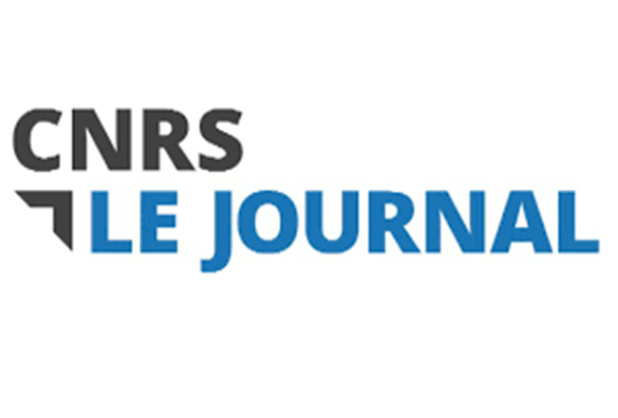 Nouveauté : Blog Focus Sciences