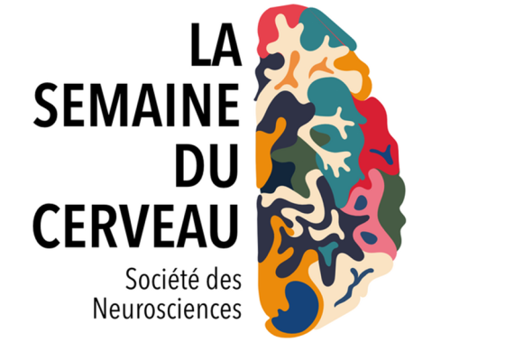 La Communication Augmentée et Alternative (CAA)