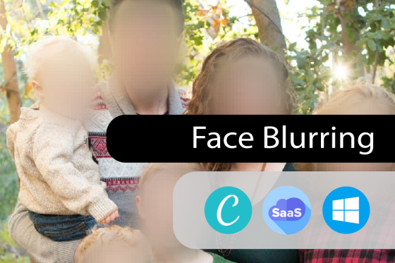 Face Blurring, en ligne pour le grand public